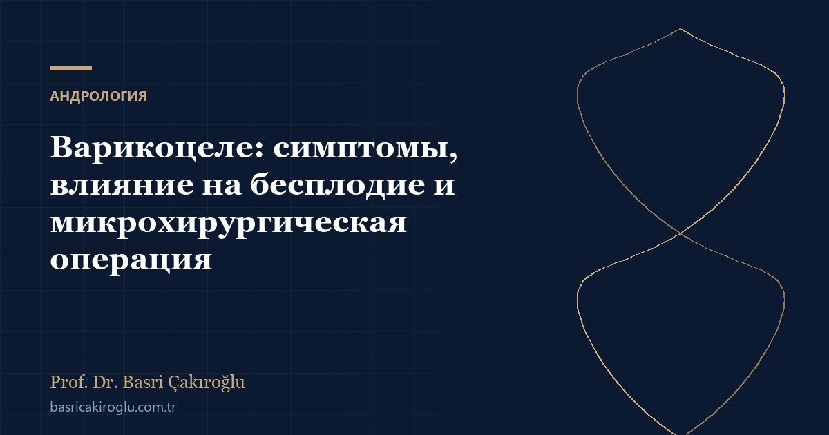 Варикоцеле: симптомы, влияние на бесплодие и микрохирургическая операция